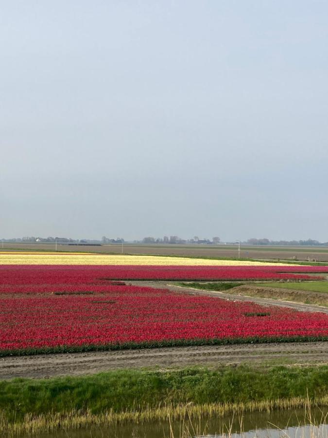 Oude Bildtzijl Vakantiehuis 'T Laaisterplakky Zonder Drempels מראה חיצוני תמונה