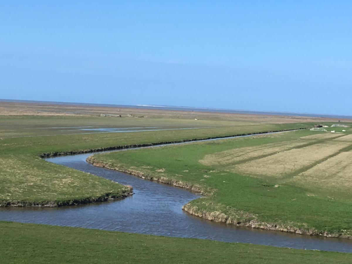 Oude Bildtzijl Vakantiehuis 'T Laaisterplakky Zonder Drempels מראה חיצוני תמונה
