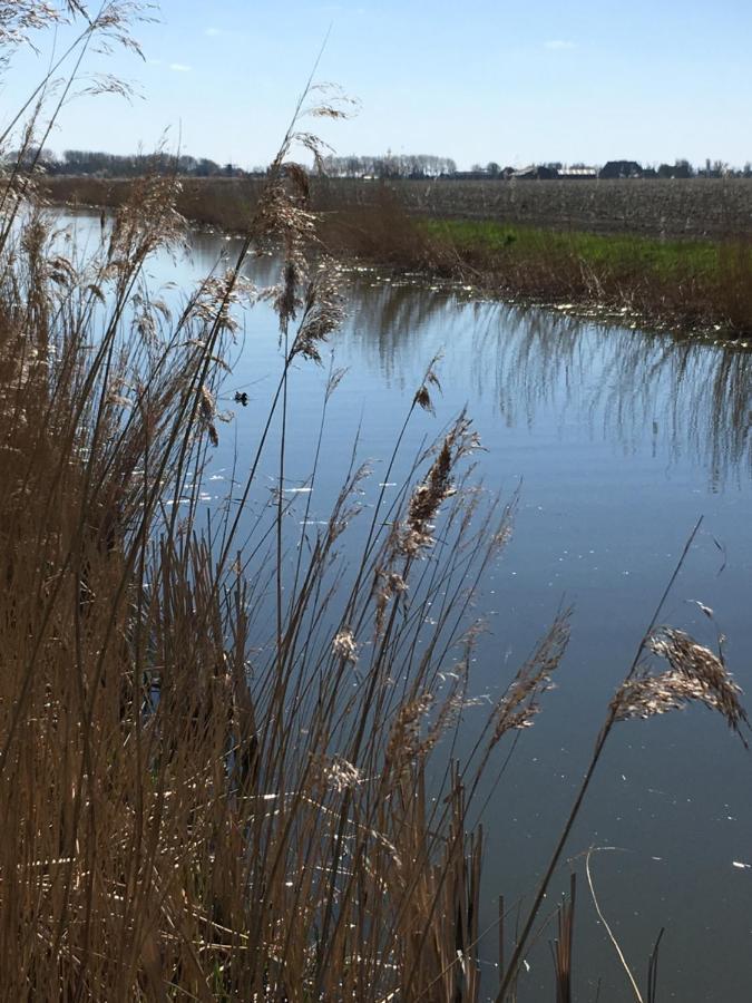 Oude Bildtzijl Vakantiehuis 'T Laaisterplakky Zonder Drempels מראה חיצוני תמונה