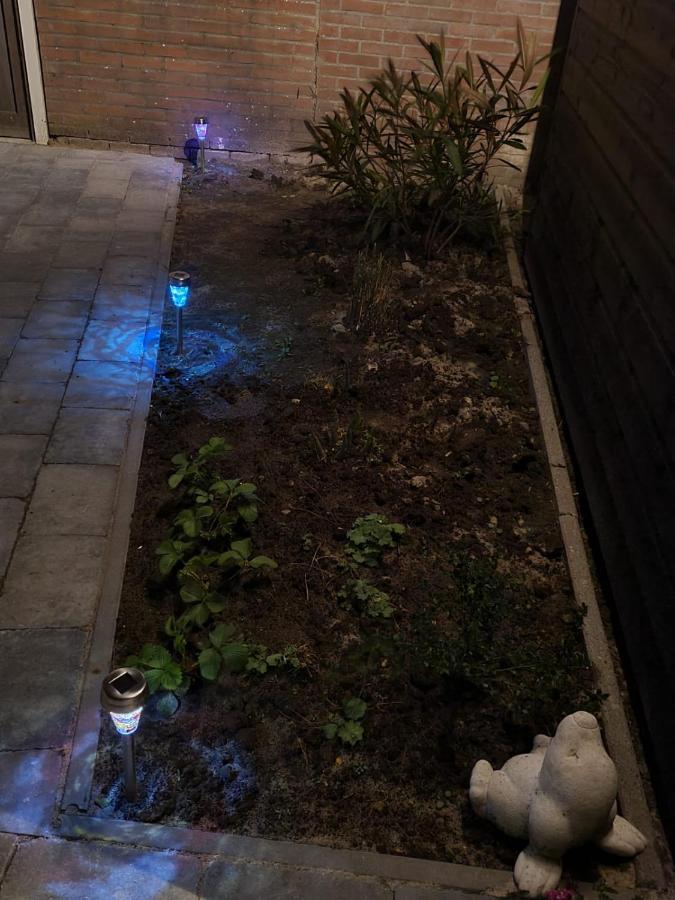 Oude Bildtzijl Vakantiehuis 'T Laaisterplakky Zonder Drempels מראה חיצוני תמונה